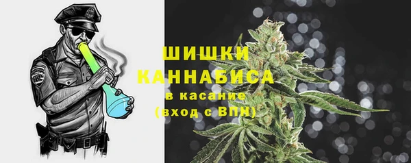 прущий лед Бородино
