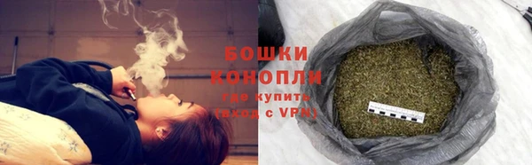 прущий лед Бородино