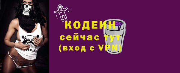 прущий лед Бородино