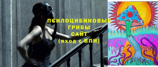 прущий лед Бородино