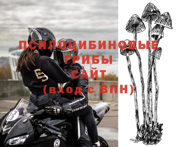 прущий лед Бородино