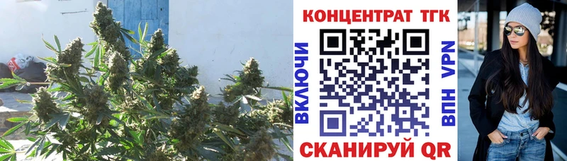 Дистиллят ТГК гашишное масло  Купить  Дубовка 