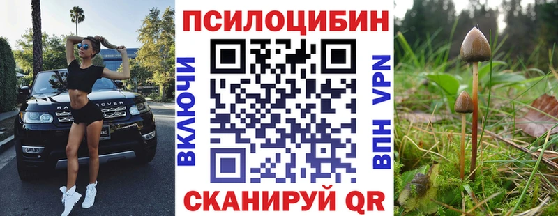 Галлюциногенные грибы ЛСД  Купить  Дубовка 